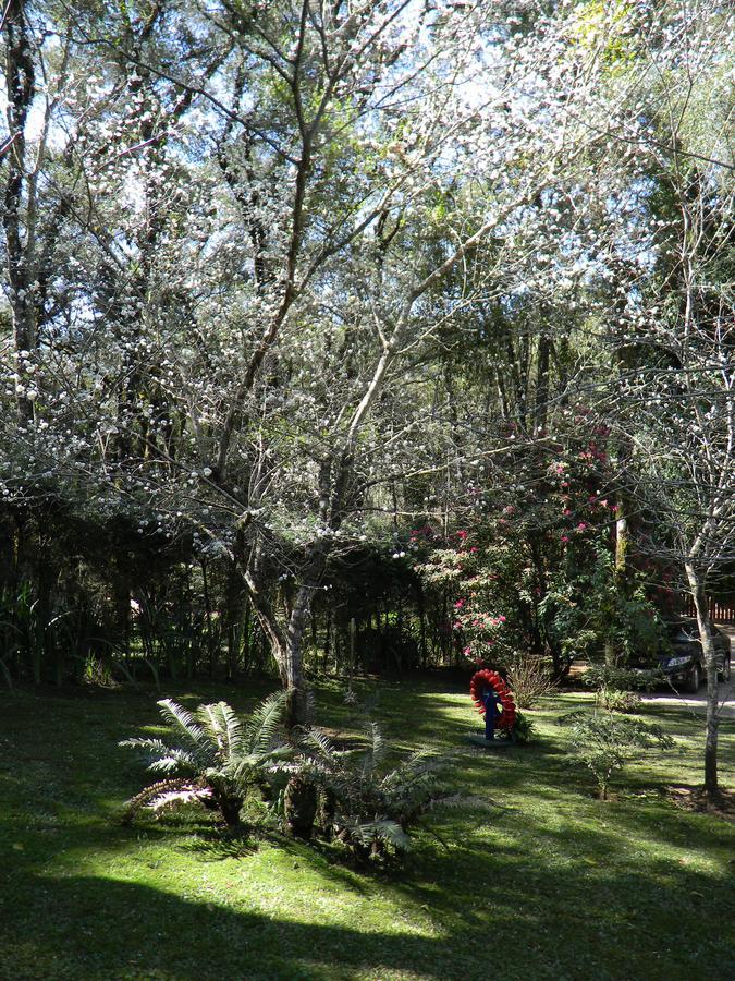 Recanto Dos Kerr Monte Verde  Exteriér fotografie